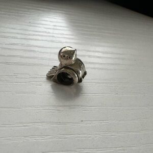 Pandora charms